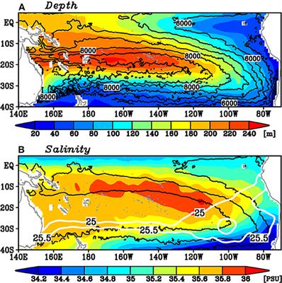 Two Pathways of Subsurface Spiciness Anomalies in the Subtropical South Pacific